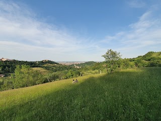 Parco di Villa Ghigi