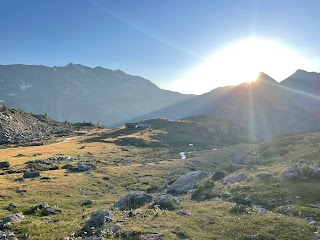 Trekking Alps