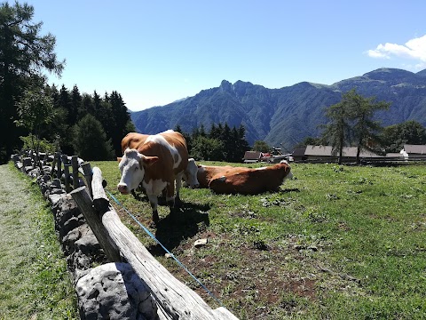 Azienda per Il Turismo Alpecimbra