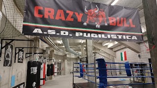 ASD PUGILISTICA CRAZY BULL