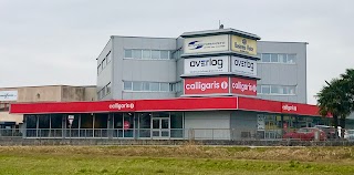 Calligaris Store Manzano