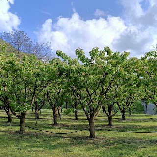 La Casetta azienda agricola e ospitalità rurale