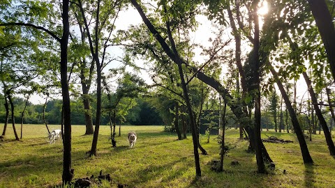 Parco dei Colli Briantei