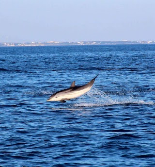 Taranto Vela A.S.D. Culturale e Turistica