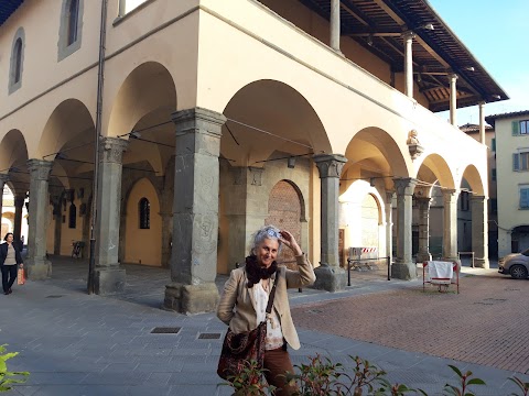 Centro di GeoTecnologie dell'Università degli Studi di Siena