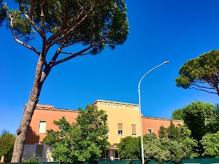 Scuola elementare Giuseppe Tomassetti