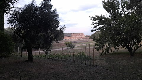 Orti Farnesiani sul Palatino