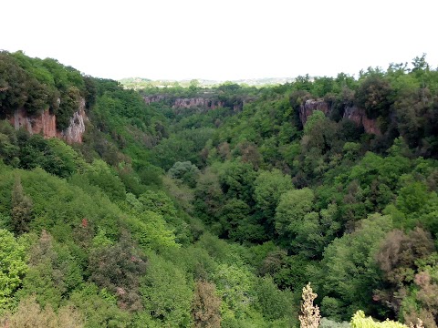 Parco Regionale Marturanum