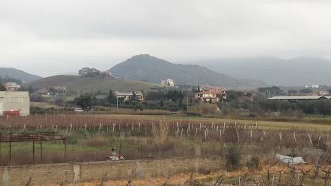 Stazione di Servizio