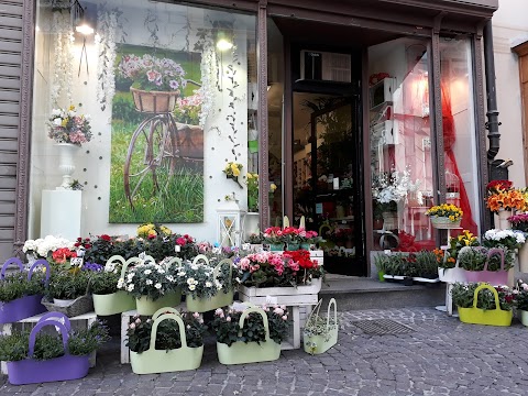 NICOLETTA FIORI via Garibaldi,1 Acqui Terme