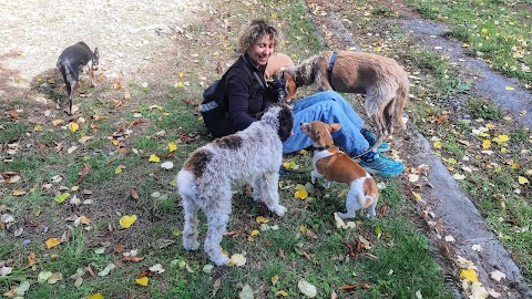 The Pet Sitter in Florence