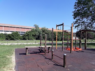 Calisthenics Park