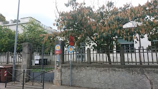 Scuole Pubbliche Materne Asili E Giardini D'Infanzia Materne