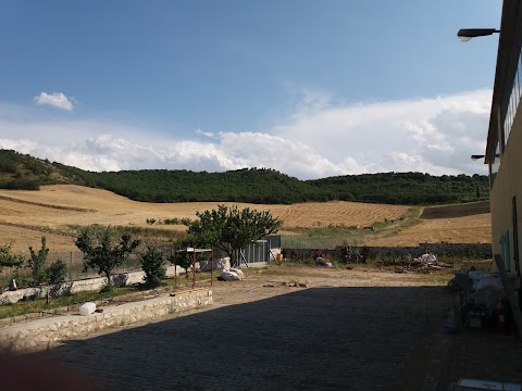 Loiudice ss società agricola - mulino a pietra