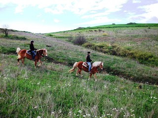 Eledorado Ranch