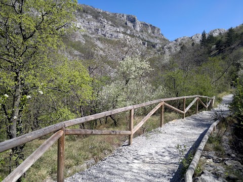 Curiosi di natura Soc. Coop.