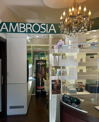 Ambrosia. Centro olistico di Belolli Elisa