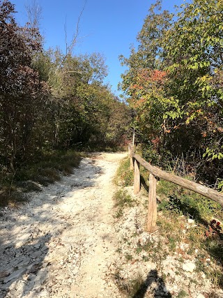 Sentiero del monte Calbarina e del monte Piccolo (km 5,5)