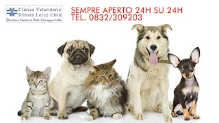 Clinica Veterinaria Privata Lecce Citta' Pronto Soccorso 24 Ore