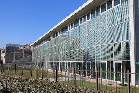 Piscina Olimpica Comunale “Carlo Zanelli”