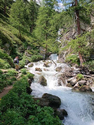 Cani da slitta La Tribù rando