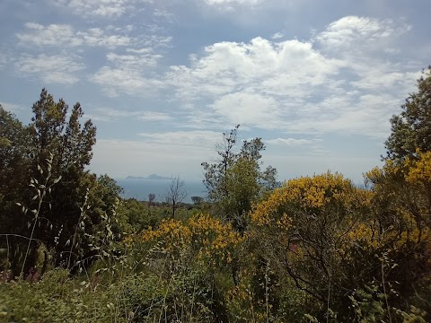 Associazione Vesuvio Natura da Esplorare