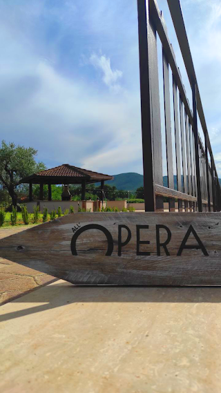 Associazione Culturale di Promozione Sociale "All'Opera"