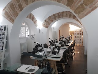 Gemmological Training Centre Formazione per sviluppo professionale gemmologico