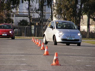 GUIDA SICURA SPORTIVA