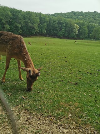 Parco Provinciale Monte Fuso