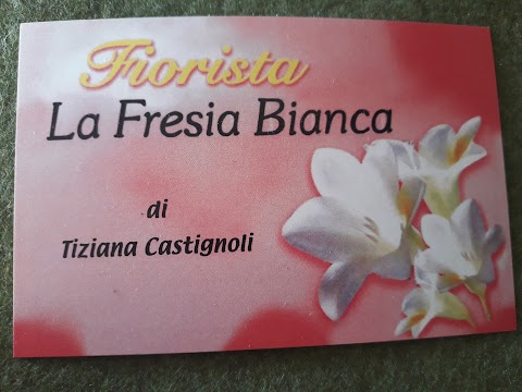 Fiorista La Fresia Bianca