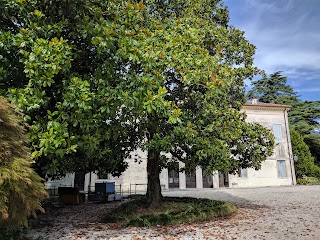 New Cambridge Institute