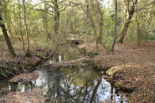 Sorgenti del Sile Porta dell'Acqua