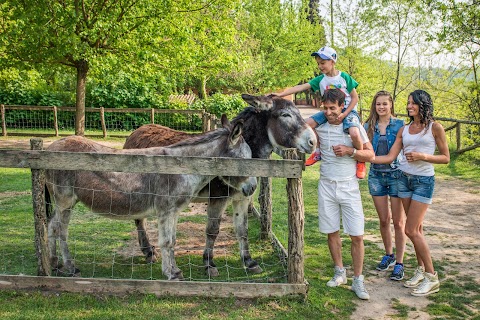 Fattoria Didattica del Parco Giardino Sigurtà