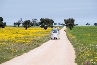 Wonderful Italy Ostuni - Welcome Point & Tourist Services