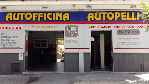 Centro Servizi Auto Autopelli Di Pelliccia Giovanni