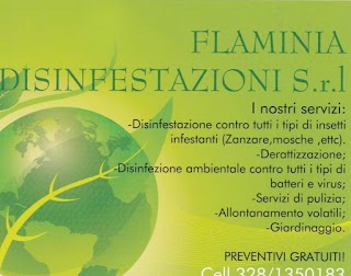 FLAMINIA DISINFESTAZIONI SRL