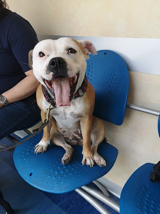 Ambulatorio Veterinario di Via Elba