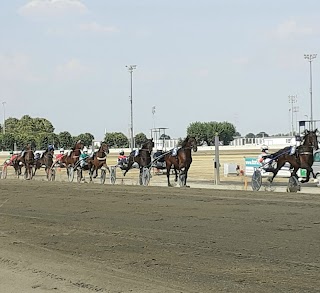 Hippogroup Torinese S.P.A.