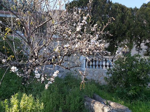 Azienda Sanitaria Provinciale di Palermo Distretto 39 Bagheria