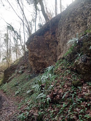 Grotta Buco Inferiore di Bosco Brusa