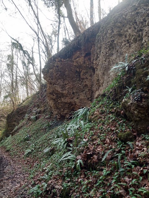 Grotta Buco Inferiore di Bosco Brusa