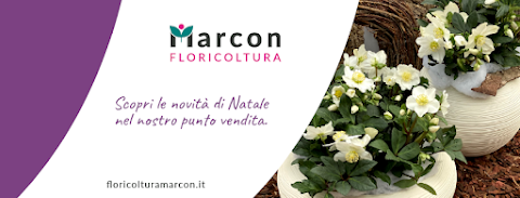 Floricoltura Marcon
