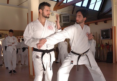 Palestra "Accademia Arti Orientali ASD"