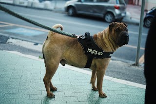 Centro Veterinario Ponti Rossi - Napoli