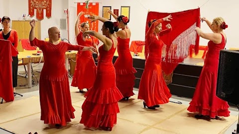 A.S.D. Viento Flamenco (Sede di Trieste)