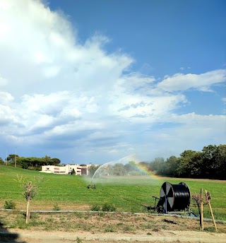 Istituto Tecnico Agrario Statale Giuseppe Garibaldi