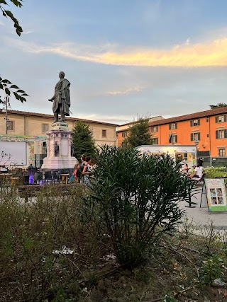 Università degli Studi di Firenze