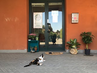 Ambulatorio Veterinario “L’ideale.vet” D.sse Socciarelli F. e Guidoboni V.