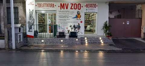 Mv Zoo